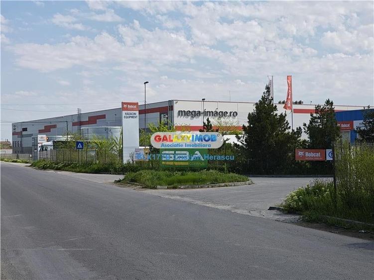 Teren Industrial 3 HECTARE Str Rudeni cu deschidere 50 ML - 5