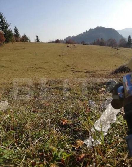 Teren de vanzare, Scarisoara, ideal pentru cabana - 1