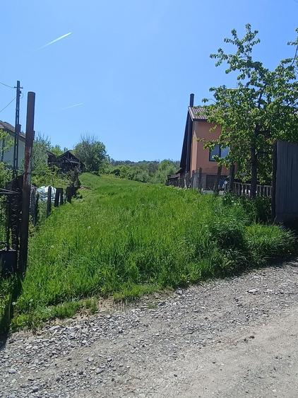 Teren de vanzare Pausesti Maglasi - 4