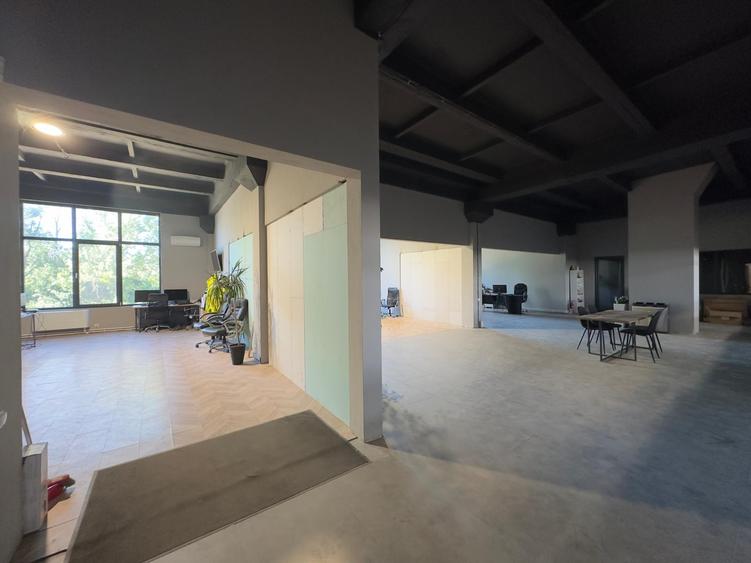 Hale cu pod rulant, de la 100mp la 2000mp, Carrefour Felicia - 3