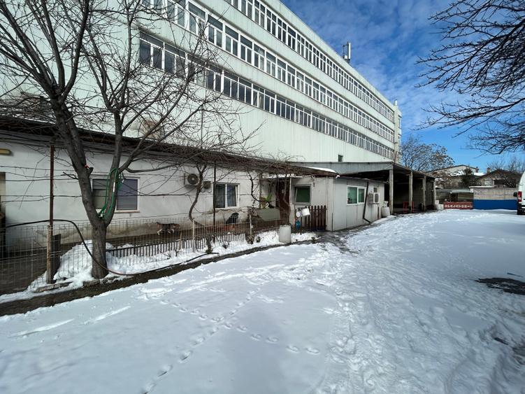 Lacul Tei,Petricani Stradal,Teren Comercial 591 mp,Toate Utilitatile - 4