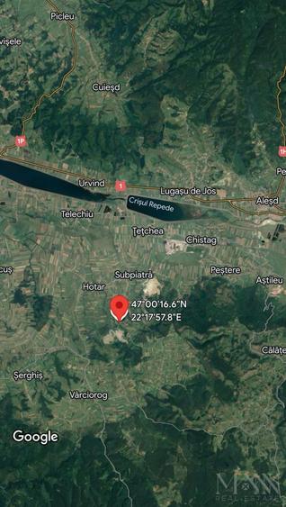 Teren de vânzare | 2,2 ha pădure și fâneață/arabil | zona Hotar, Bihor - 2