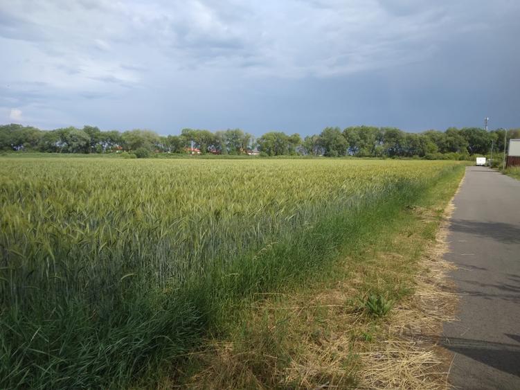 Teren 628mp in Stupini str.Augustin Tătaru  pretabil case/sedii firma - 1