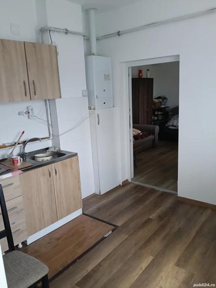 Ap 1 camera 30 mp Sanicoara 280 curte comuna - 10