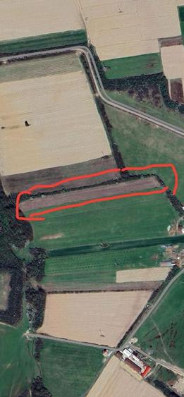 Teren agricol VIctor Vlad Delamarina - 2