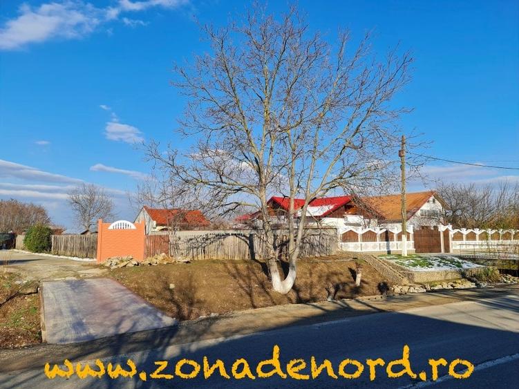 Teren intravilan Lipia,  acces autostrada A3, la 30 min de București , comis.0% - 1