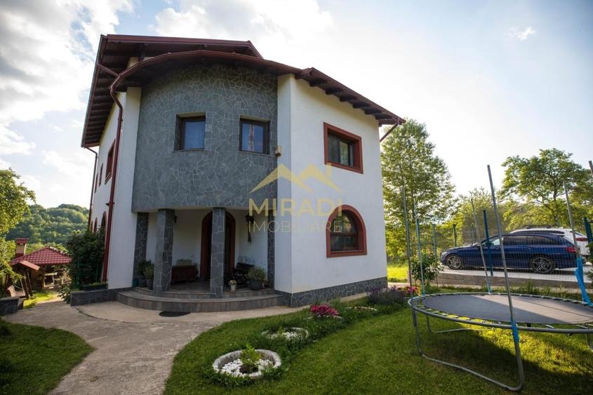 Vanzari Case / vile - 1