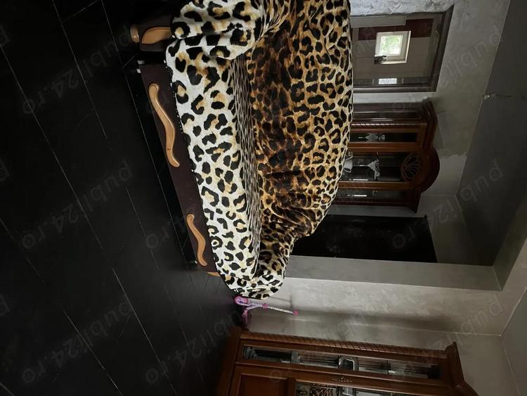 Casa individuala, 9.65 ari teren, zona Profi Sfantu Ilie - 5