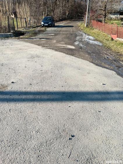 In Berchez,de vanzare un hectar livada cu pomi pe rod - 5