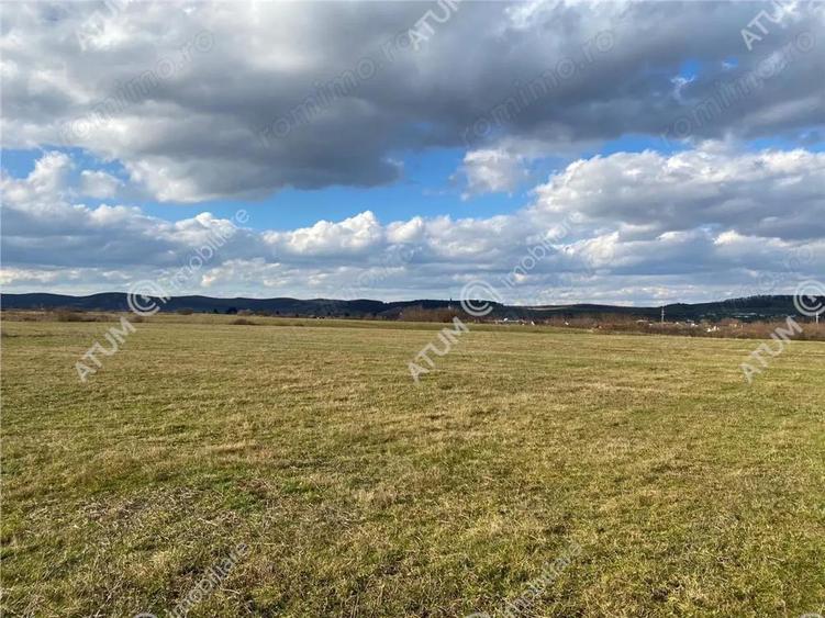 Teren de vanzare 564 mp in Sibiu pretabil investitie - 3