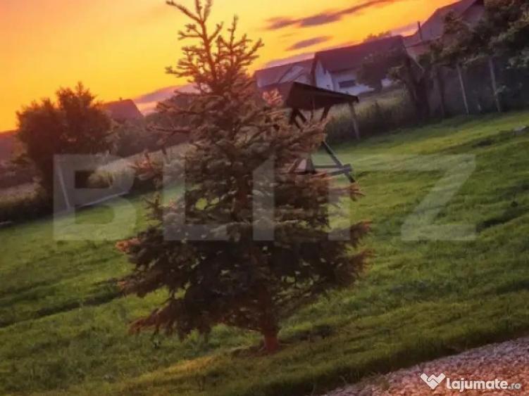 Casa de vanzare, Burdujeni, 16 ari teren. - 6