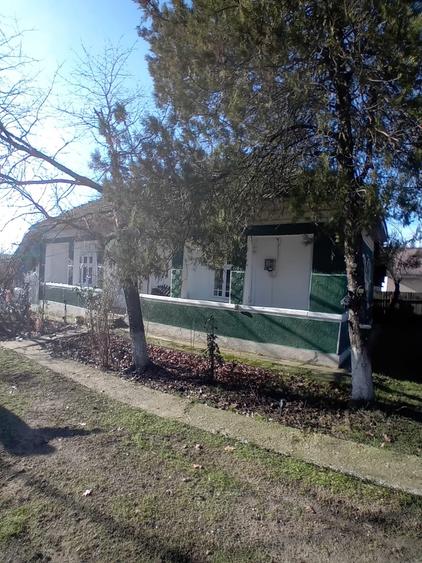 Calarasi, comuna Soldanu - 9