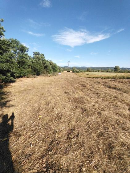 Teren extravilan Culcea - 5