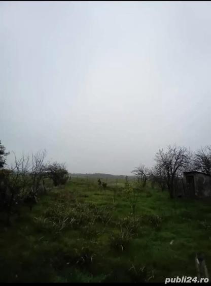 Casa + 1700 m teren in Vitane?ti, Teleorman 30.000 (negociabil) - 6