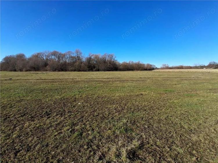 Teren intravilan 14780 mp, comision 0%, inTopolita, Neamt, pretabil afacere - 4