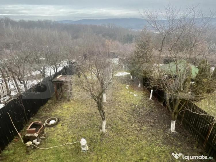 Cabana de lemn- Vatmani - 4