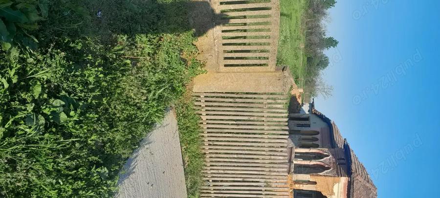 Teren +casa batrineasca com Babiciu Olt - 4