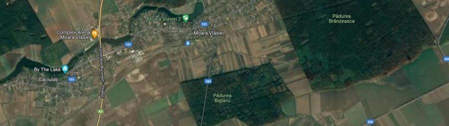 Teren de vanzare in Moara Vlasiei - 7170 mp - aproape de Padurea Biglaru - 1