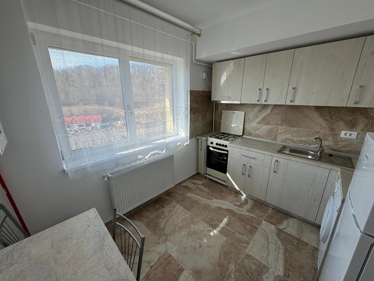 Frumoasa, Continental, Manta Rosie Residence, apartament 1 camera , modern, nou - 4