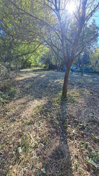 Casa Cristur- Criseni - 3