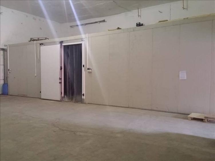 Spatii frigorifice refrigerare/congelare - 4