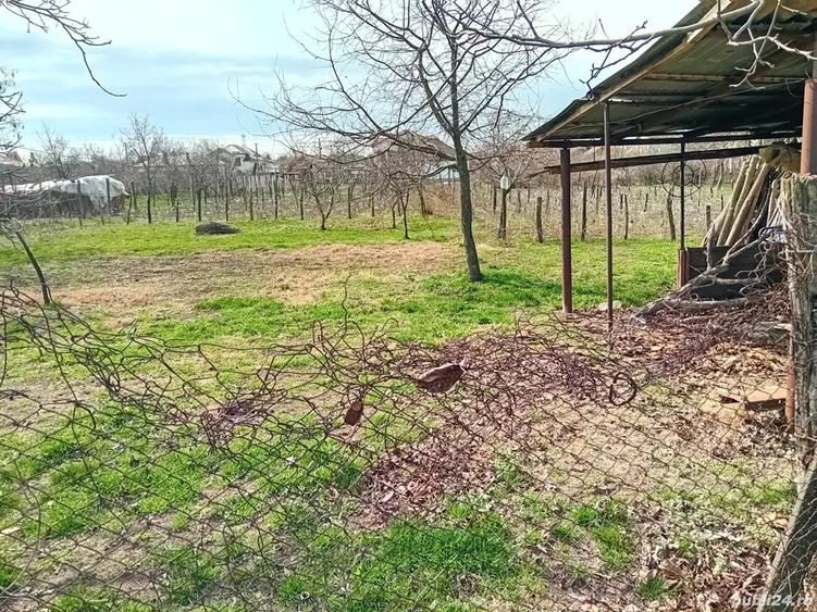 vand casa in comuna Lipovu jud Dolj - 4