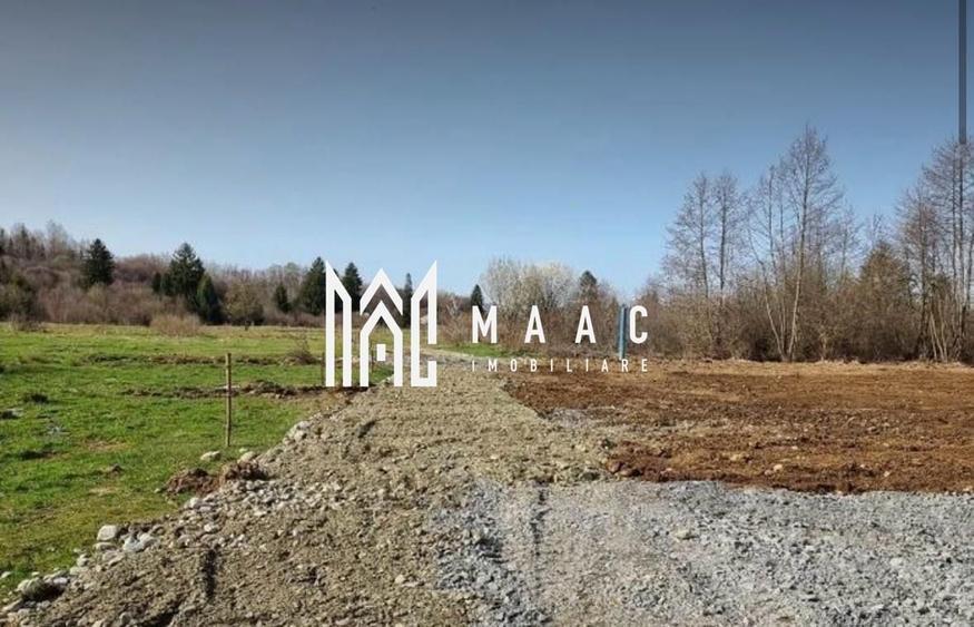 TEREN INTRAVILAN 4007 MP I VALEA AVRIGULUI - 3