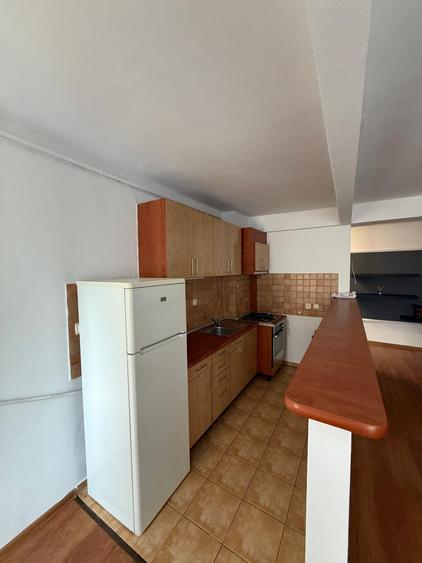 Apartament de lux de închiriat în Ștrand, lângă Parcul Sub Arini - 11