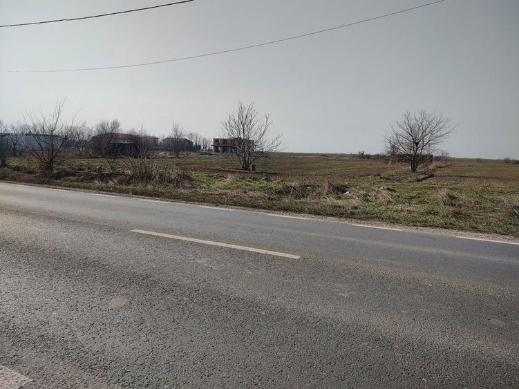 Frumusani.deschidere la dn4 5000mp.proprietat - 9