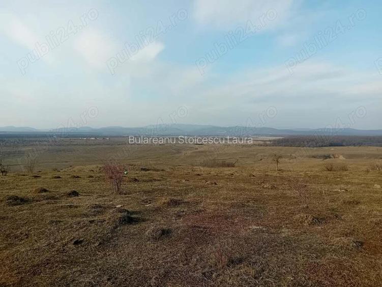 Teren - 7.132 mp zona deosebita , str Alexandru cel Bun Teren - 7.132 mp zona deosebita , str Alexandru cel Bun