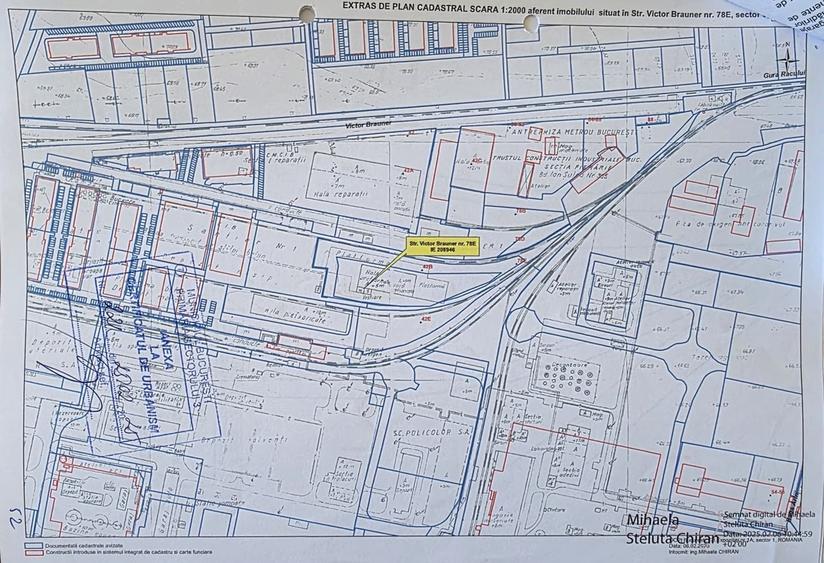 Pallady Ikea Victor Brauner - 6
