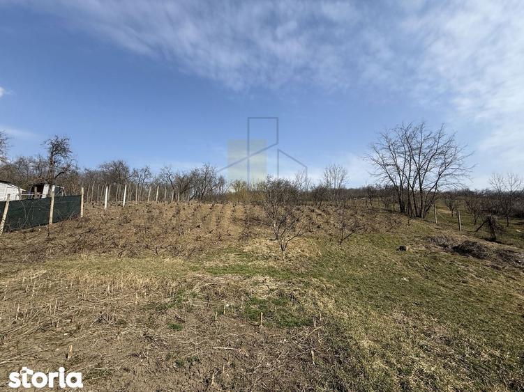 Casa batraneasca + Teren 1191 mp | Dobrovat (Iasi) | Liniste si natura - 3