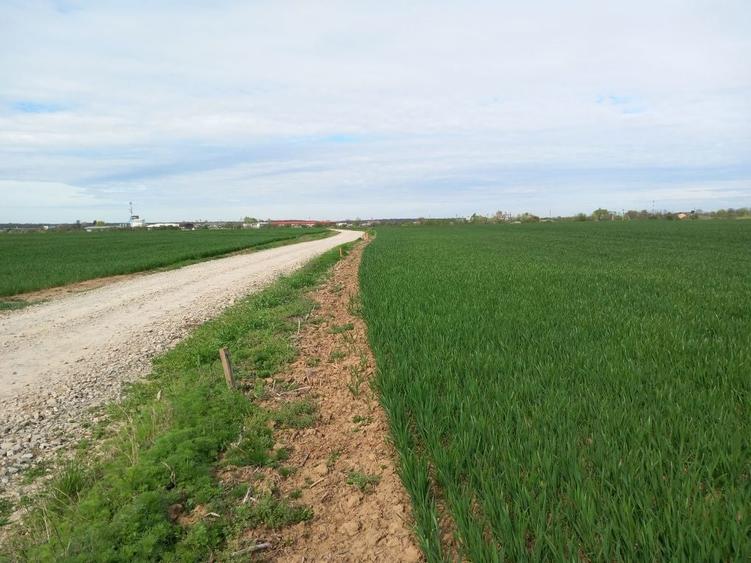 Teren intravilan 1850m - 4