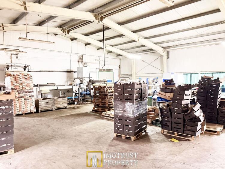 Hala industrială de vanzare Arad 540 mp, depozitare la rece, acces TIR - 6