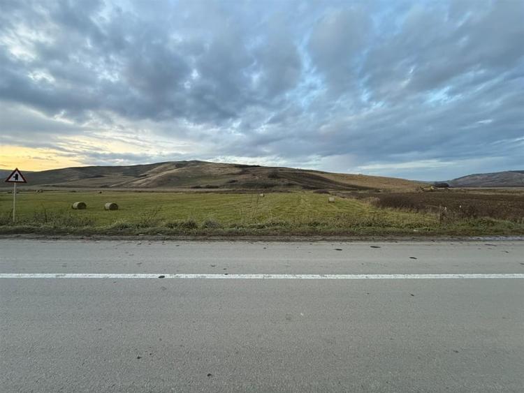 Teren Extravilan I 6000 Mp I Acces la drum | Cojocna - 5