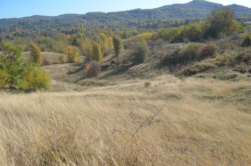 OFERTĂ SPECIALĂ! Teren intravilan de vânzare în Câmpina pe Dealul Muscel - 2