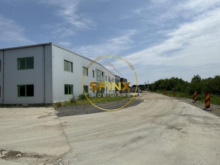 Hala si birouri zona Mogosoaia sos Odai - 19