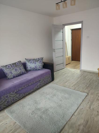 De vanzare apartament sau de inchiriat - 9