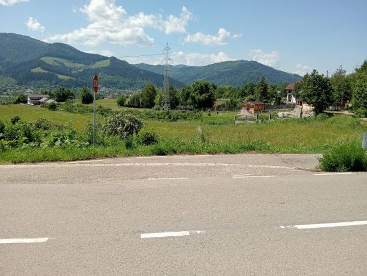 Pământ de vânzare: sat Viișoara, comuna Alexandru cel Bun (zona Gloduri drumul spre Bisericani) - 9