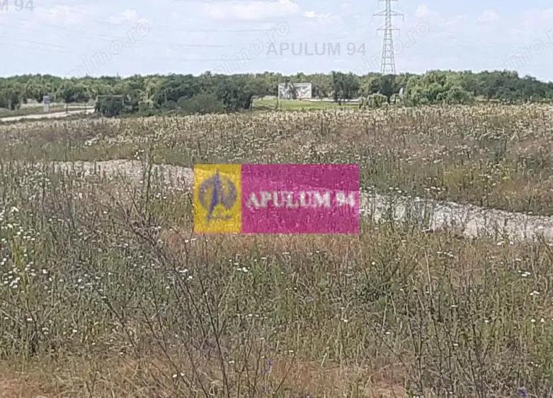 Teren 715mp in Snagov langa Equestria - 17