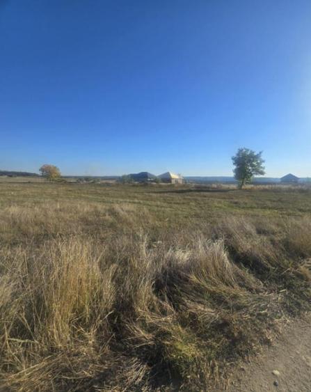 Teren 1000mp ,la intrarea in Filiasi - 2