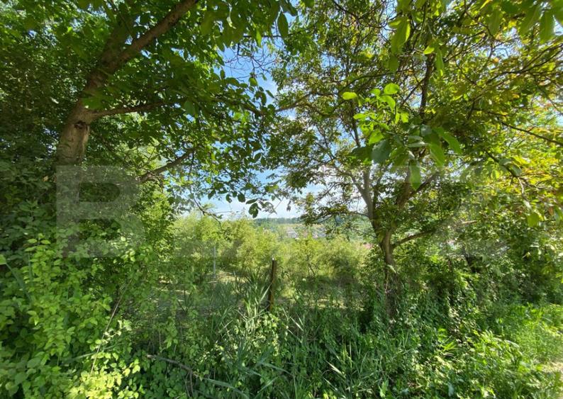 Teren intravilan de vanzare 30 ari Zona Podul Jelne - 1