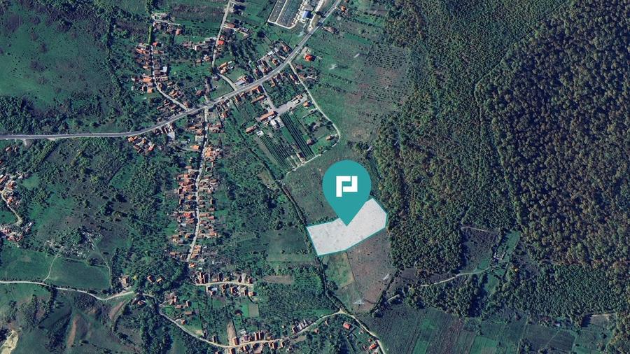 Teren fâneață lângă pădure - Hunedoara - 2