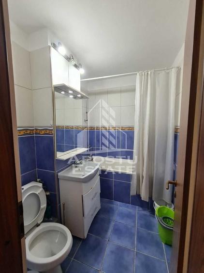 Apartament 2 camere,petfriendly,Timisoara-Zona Take Ionescu - 8