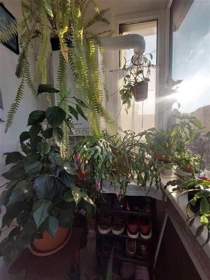 Apartament cu 3 camere  de vanzare zona centrala Tulcea - 2