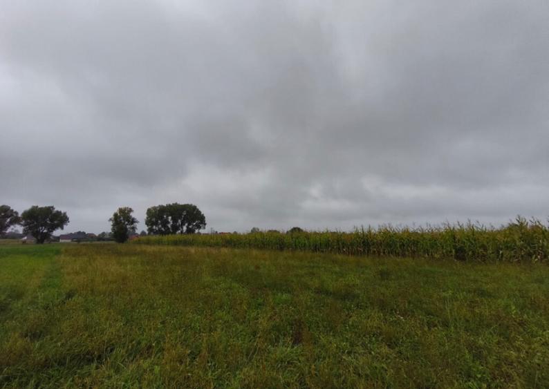 Teren intravilan, 5200mp, front 27ml, Fratautii Vechi, Radau - 6