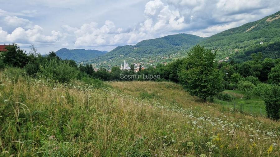 Teren de vanzare in Baia Sprie: 52 Ari, Parcelabil, Comision 0%