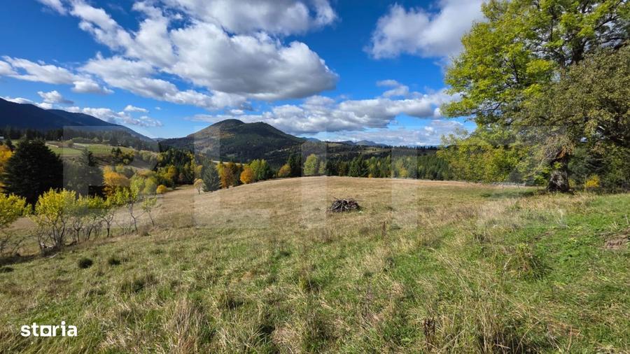 Teren 1,5 hectare - la Piatra Fantanele - 3