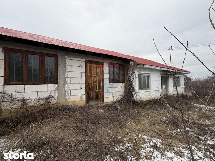 Casa Dumbraveni strada viilor 20 - 11