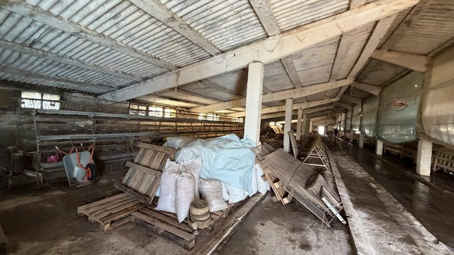 Hala industrială de vânzare în Beclean, Bistrița-Năsăud – 770 mp teren + cons - 2